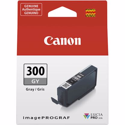 Fotografija izdelka Kartuša CANON PFI-300 Siva Original
