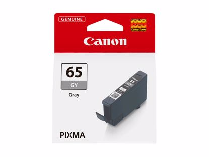 Fotografija izdelka Kartuša CANON CLI-65 Siva Original