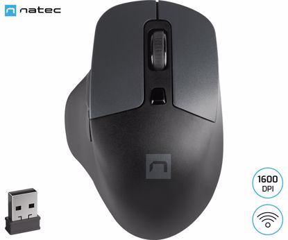 Fotografija izdelka Natec BLACKBIRD 2 brezžična miška, ergonomska, USB 2.4GHz, 1600DPI, 6 gumbov, tiha stikala, 1x AA baterija, optični senzor, teflonski drsniki, črna