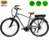 Fotografija izdelka TREVI EMG MARLON električno kolo, cestno/mestno, vintage, 28" pnevmatike, 250W motor, 36V 13Ah 468Wh baterija, Shimano, do 80km, V-zavore, vzmetenje, LCD zaslon, siva (Charcoal Gray)
