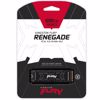 Fotografija izdelka KINGSTON Fury Renegade 500GB M.2 PCIe NVMe (SFYRS/500G) SSD